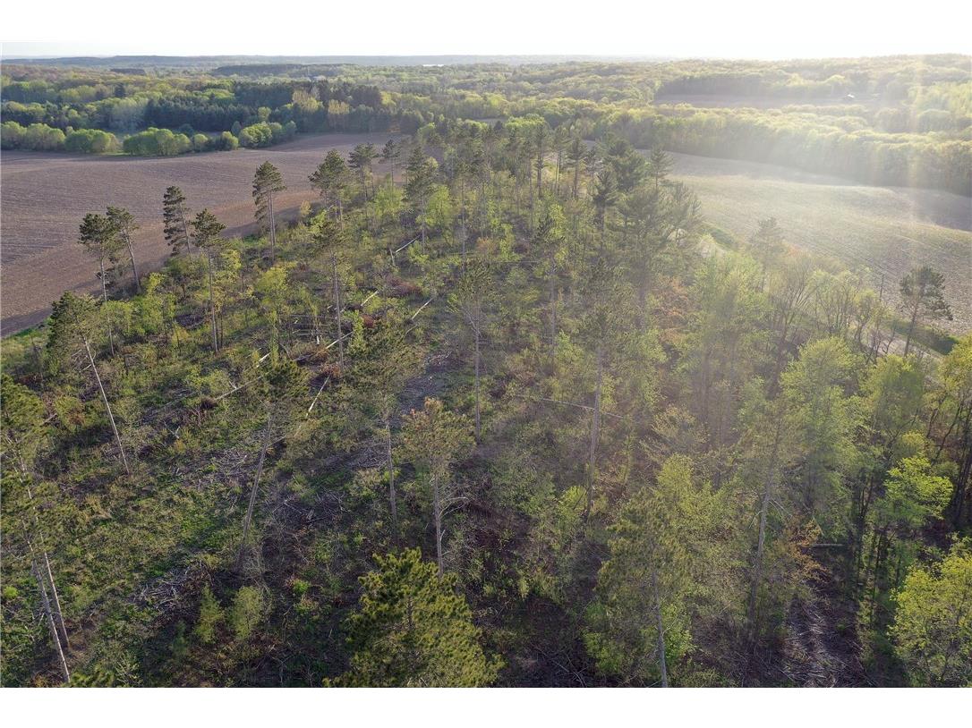 TBD State Highway 65 - Lot 1 Star Prairie WI 54026 1591576 image1