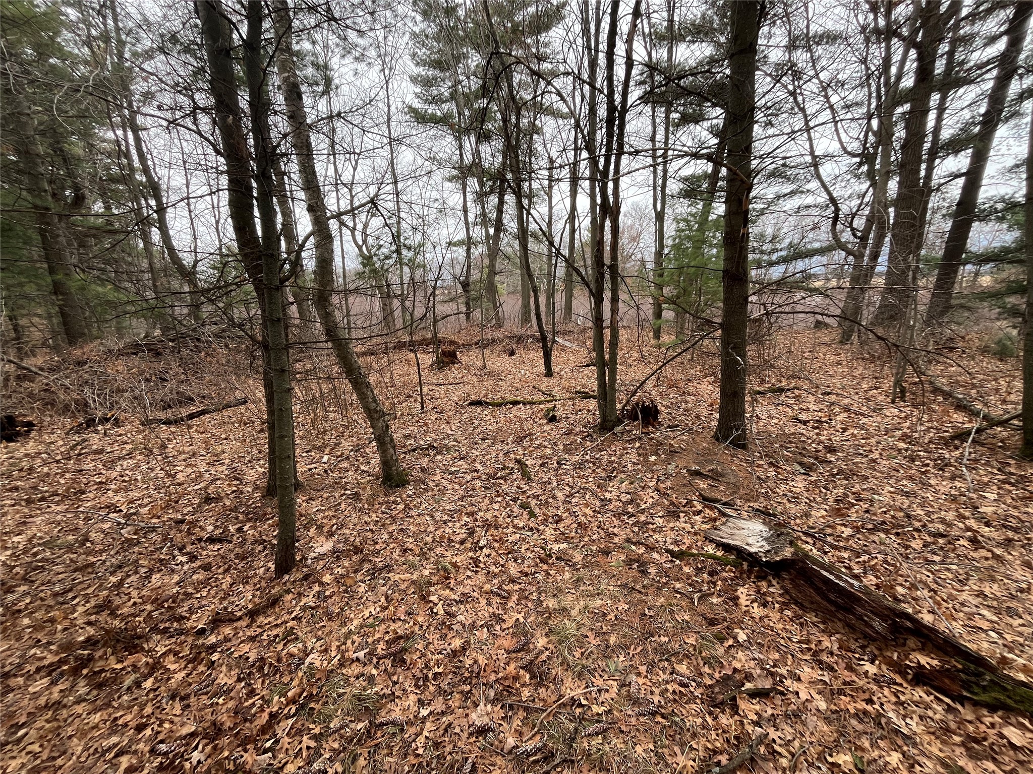 TBD Ten Mile Drive New Auburn WI 54757 - Ten Mile 1599723 image10