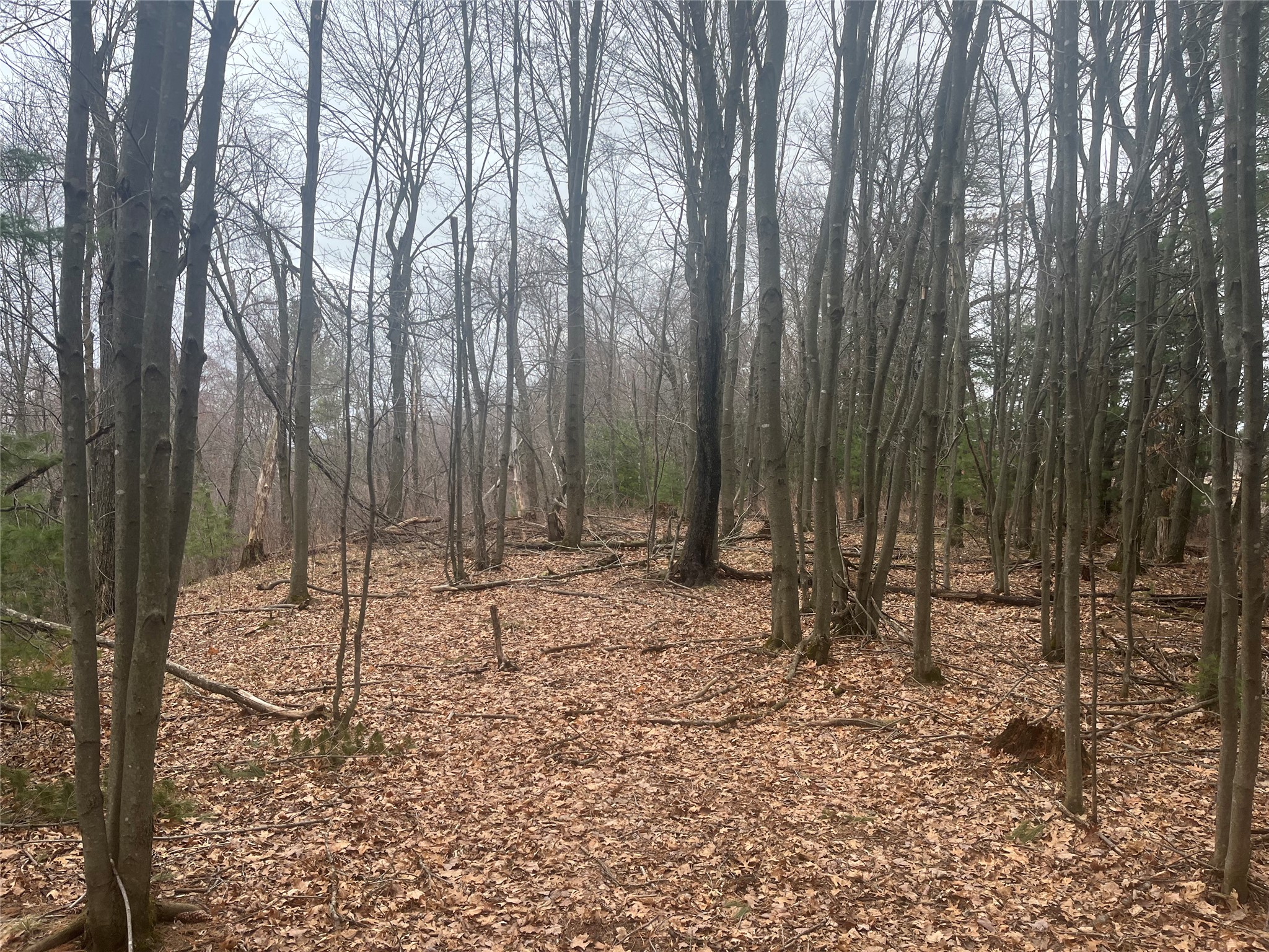 TBD Ten Mile Drive New Auburn WI 54757 - Ten Mile 1599723 image11