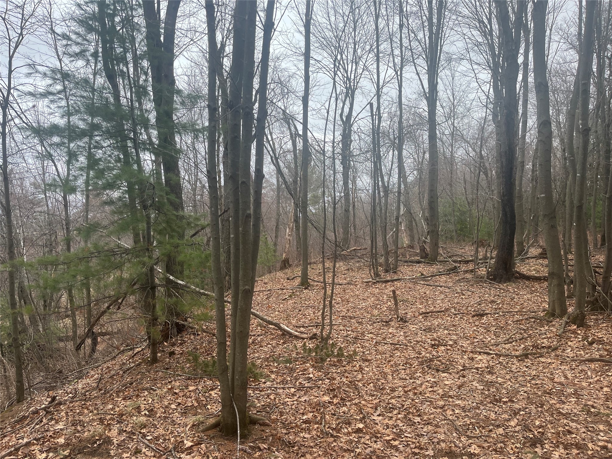 TBD Ten Mile Drive New Auburn WI 54757 - Ten Mile 1599723 image12