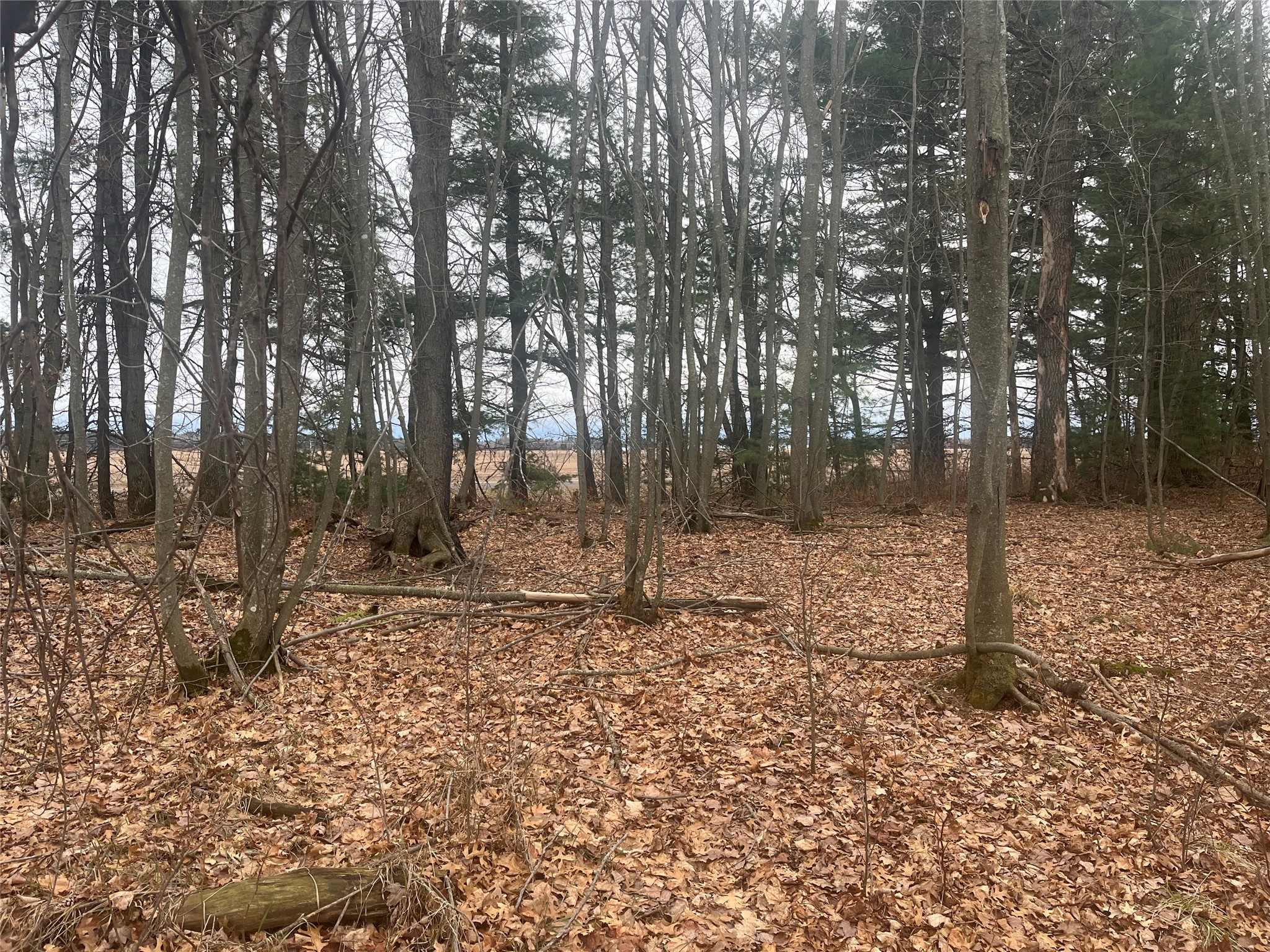 TBD Ten Mile Drive New Auburn WI 54757 - Ten Mile 1599723 image13