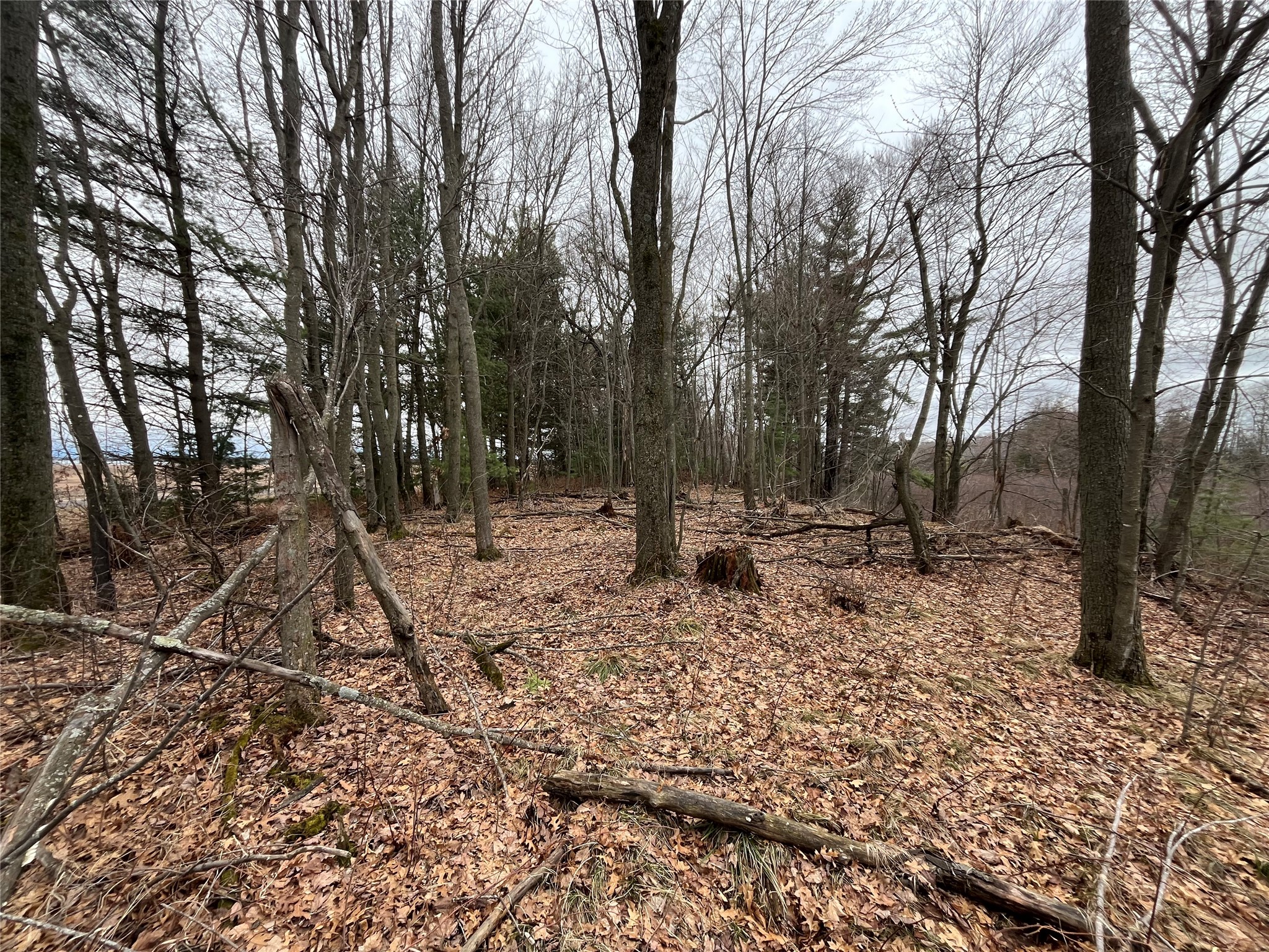 TBD Ten Mile Drive New Auburn WI 54757 - Ten Mile 1599723 image14