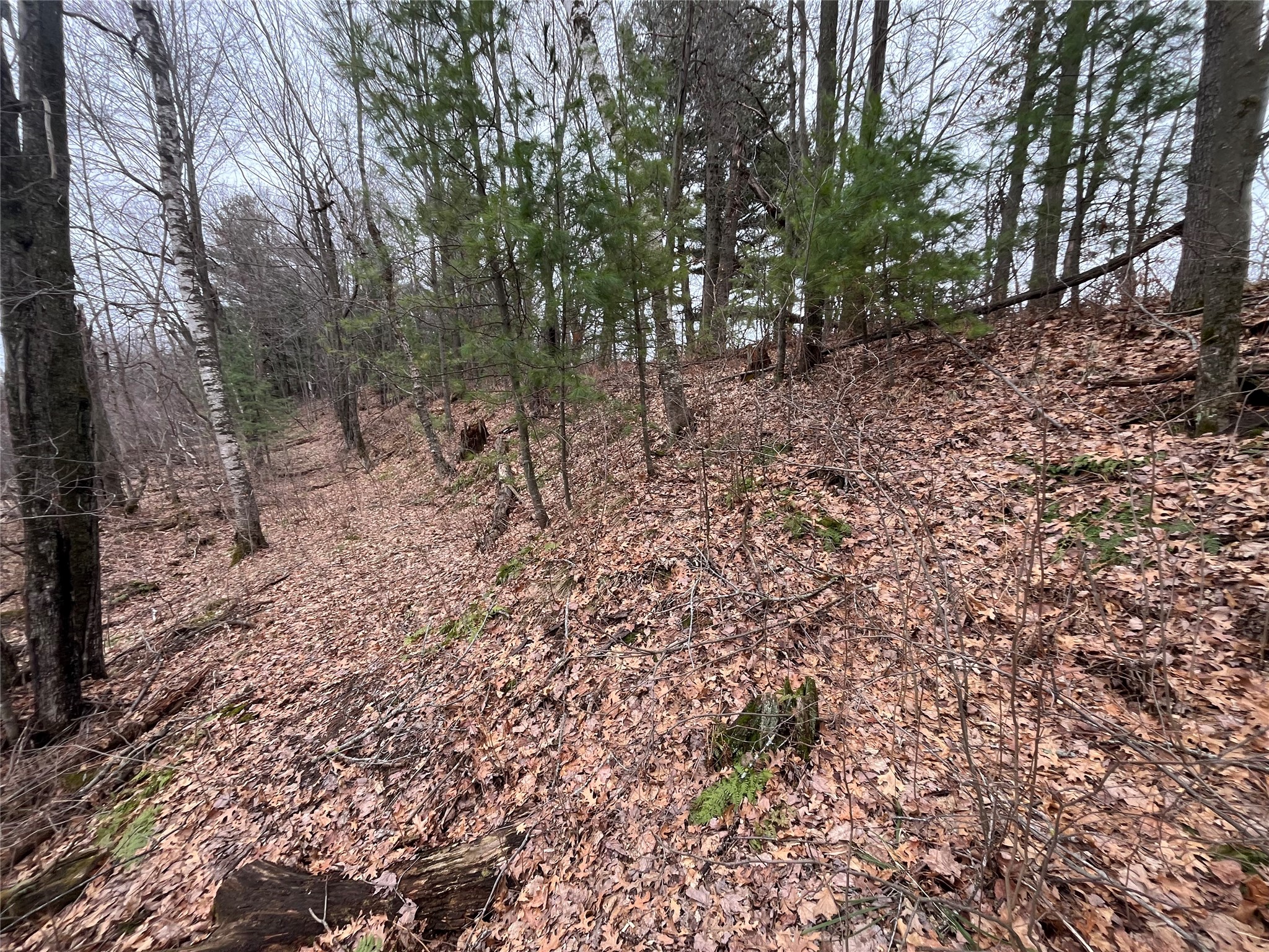 TBD Ten Mile Drive New Auburn WI 54757 - Ten Mile 1599723 image16