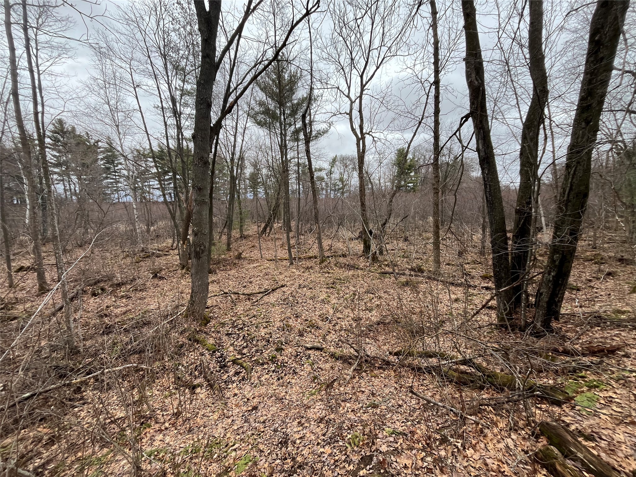 TBD Ten Mile Drive New Auburn WI 54757 - Ten Mile 1599723 image17