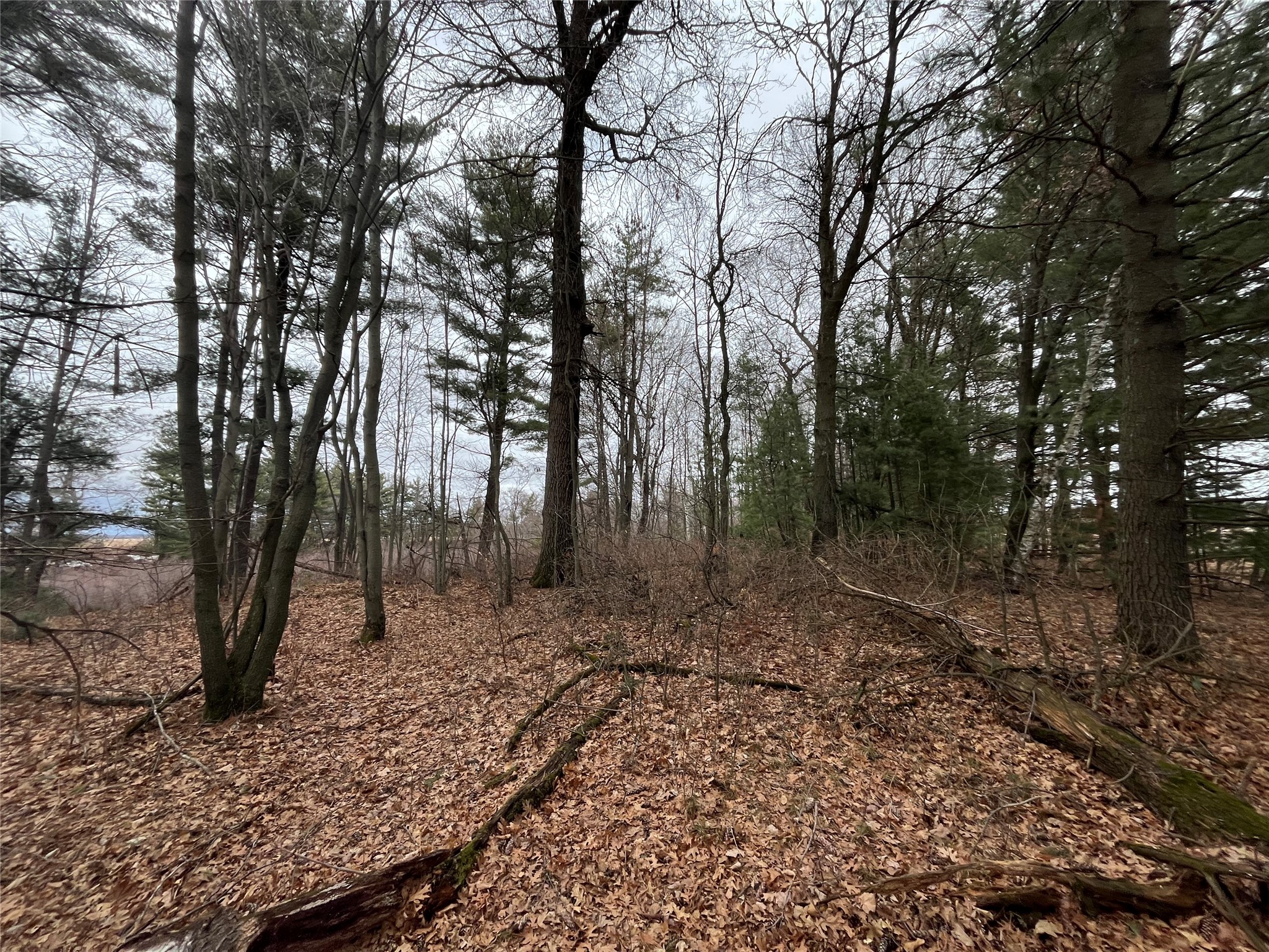 TBD Ten Mile Drive New Auburn WI 54757 - Ten Mile 1599723 image8