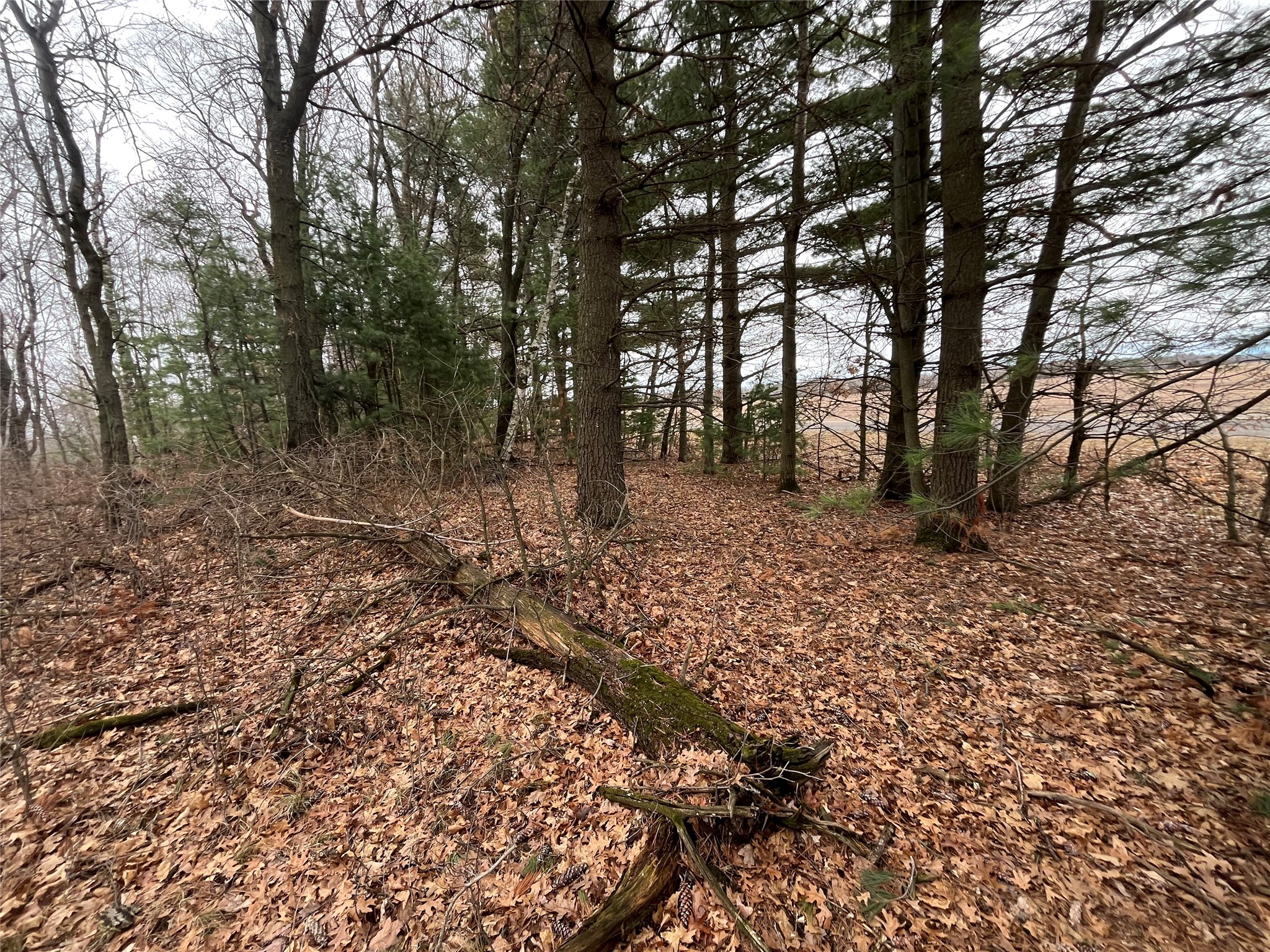 TBD Ten Mile Drive New Auburn WI 54757 - Ten Mile 1599723 image9