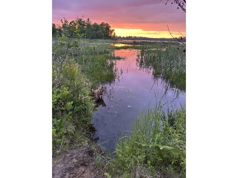 TBD Treasure Island Drive Danbury WI 54830 1593653 image10