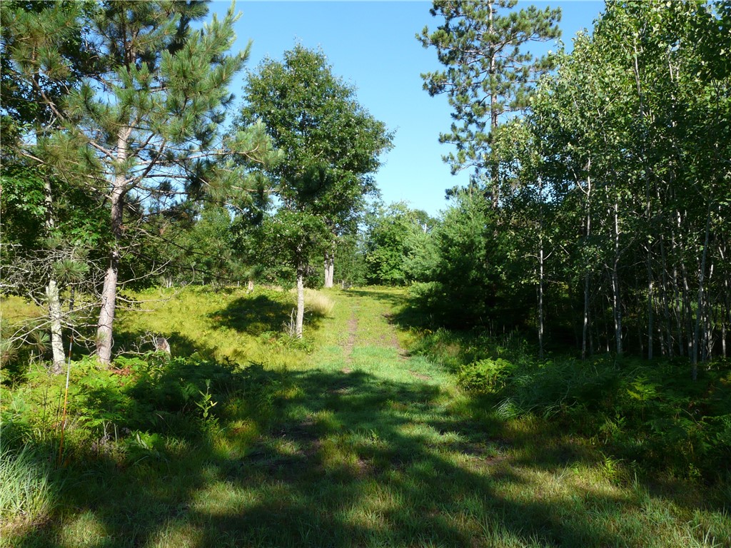 TBD Treasure Island Drive Danbury WI 54830 1593653 image2