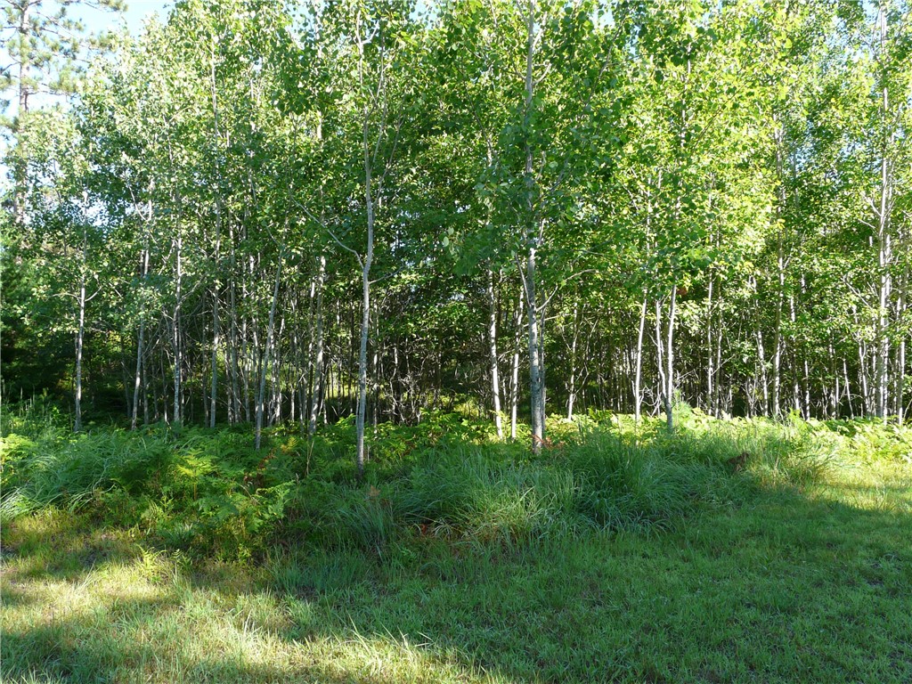 TBD Treasure Island Drive Danbury WI 54830 1593653 image3