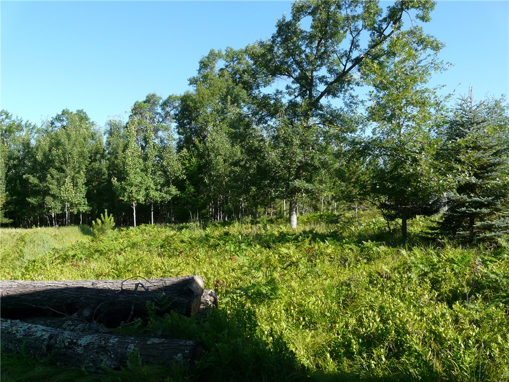 TBD Treasure Island Drive Danbury WI 54830 1593653 image6