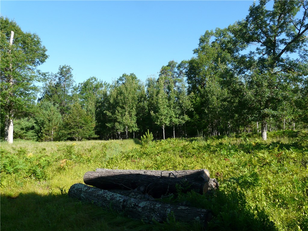 TBD Treasure Island Drive Danbury WI 54830 1593653 image7