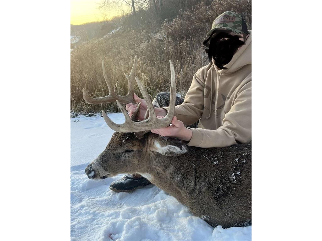 TBD Tulip Lane, Pepin, WI, 54759 MLS 1582844 Edina Realty