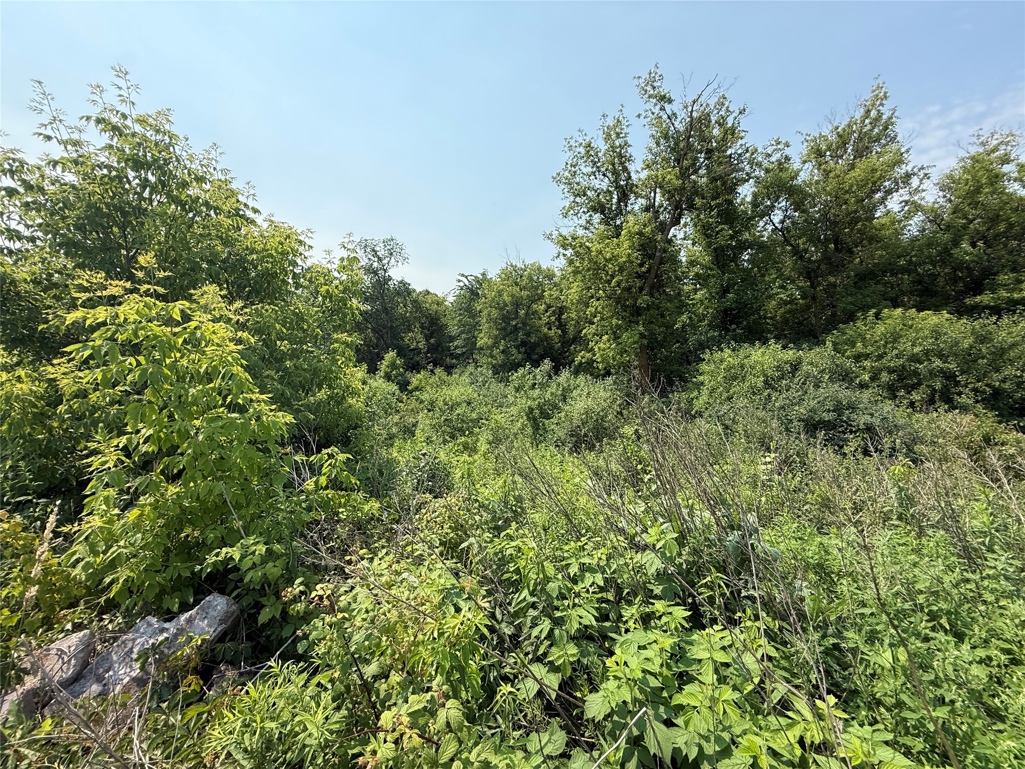 TBD Us Highway 8 Saint Croix Falls WI 54024 1602834 image6