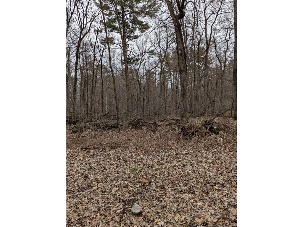 TBD US Hwy 8 Amery WI 54001 1572480 image1