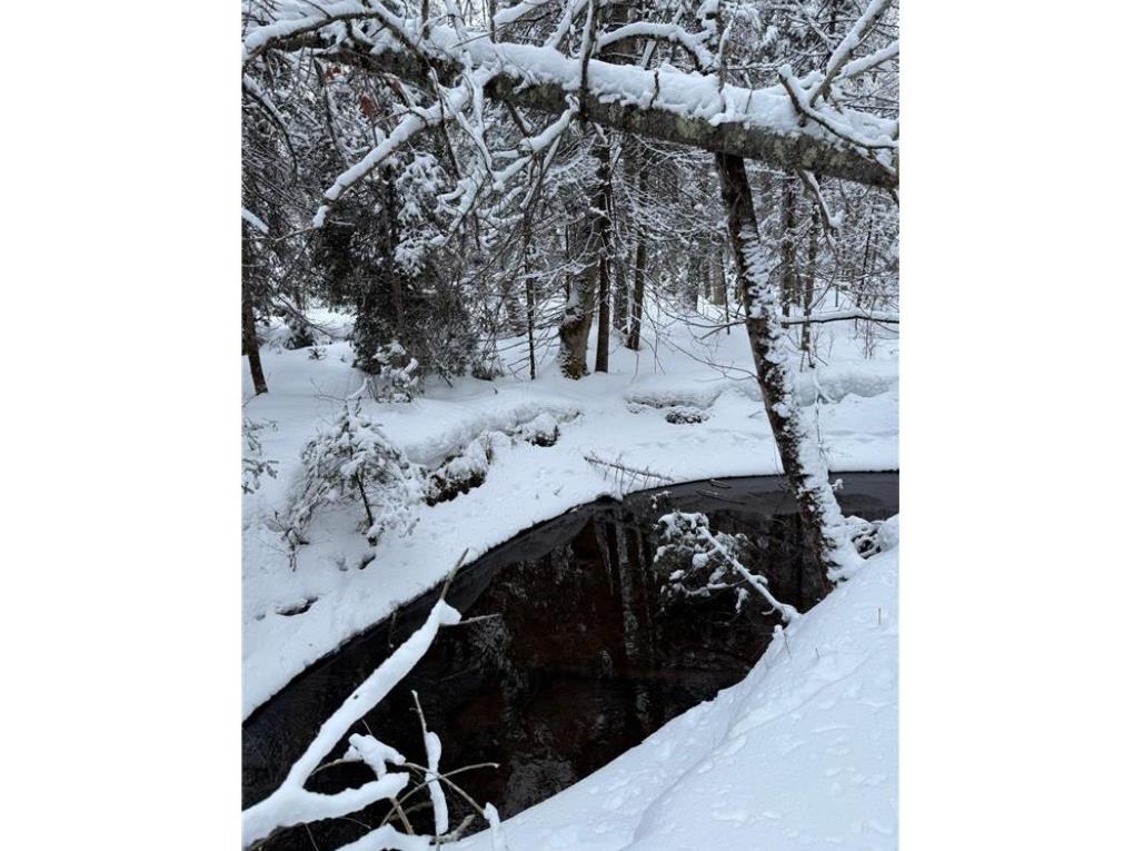 TBD Wallin Road Iron River WI 54847 - Muskeg Creek 1598583 image16
