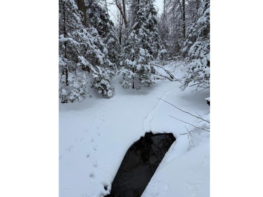 TBD Wallin Road Iron River WI 54847 - Muskeg Creek 1598583 image17