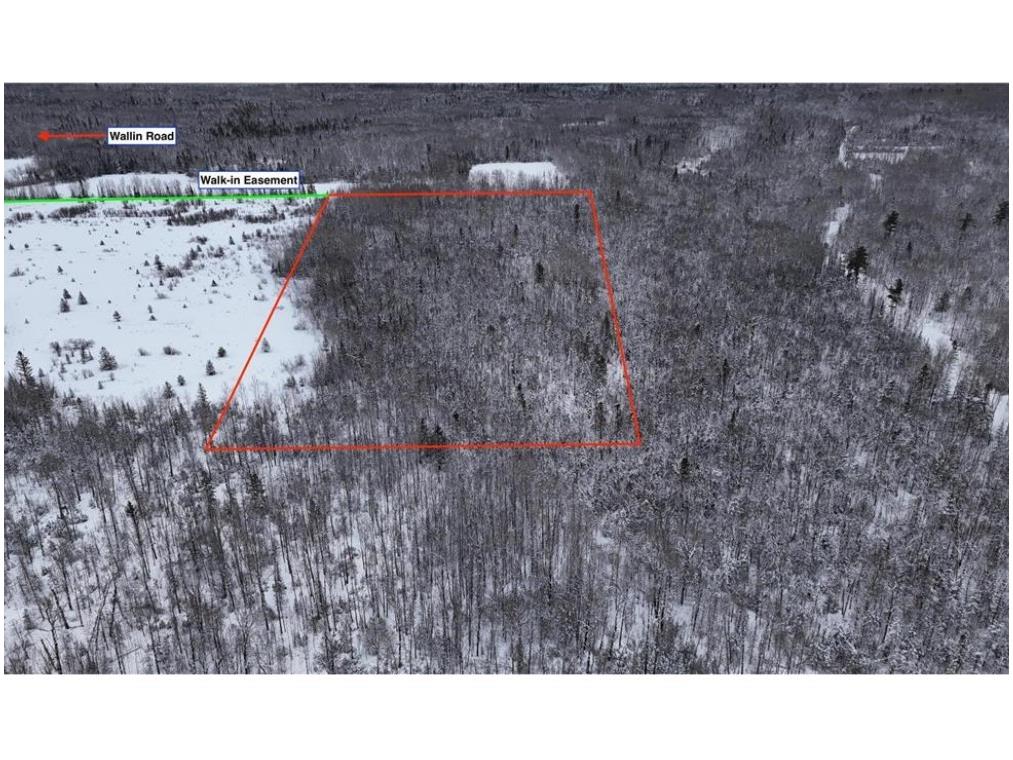 TBD Wallin Road Iron River WI 54847 - Muskeg Creek 1598583 image5