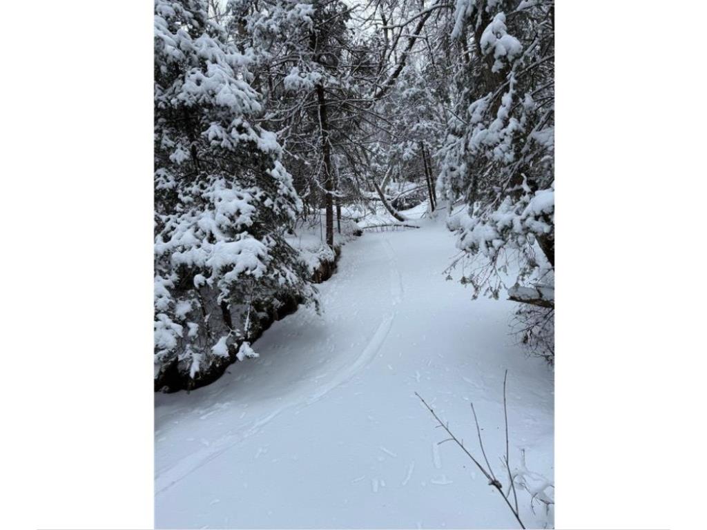TBD Wallin Road Iron River WI 54847 - Muskeg Creek 1598583 image6