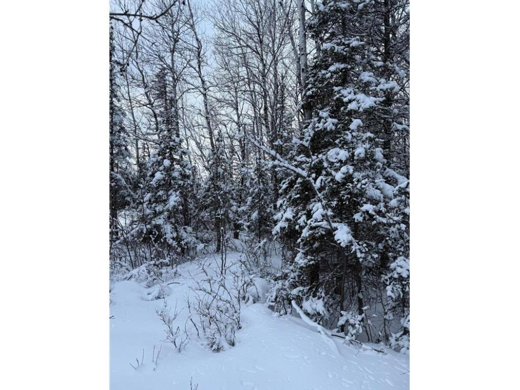 TBD Wallin Road Iron River WI 54847 - Muskeg Creek 1598583 image7