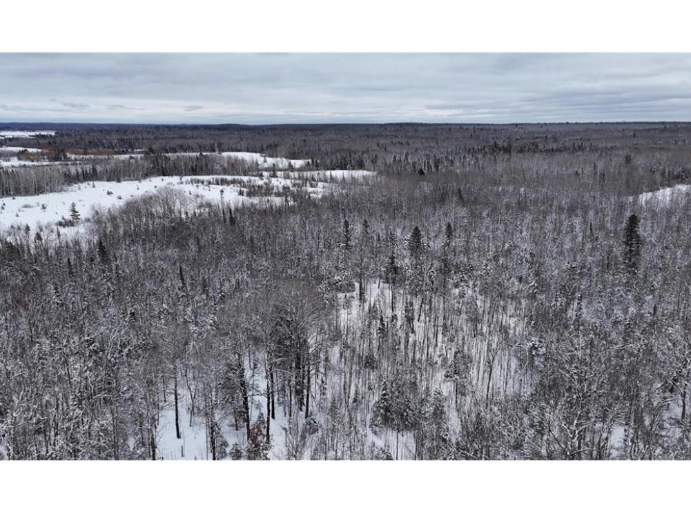 TBD Wallin Road Iron River WI 54847 - Muskeg Creek 1598583 image9