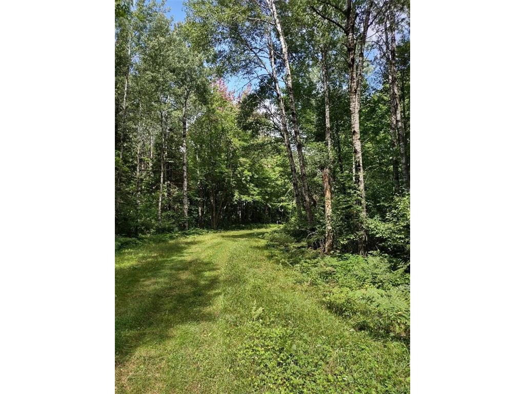 TBD Willow Court Cable WI 54821 - Cap 1576418 image1