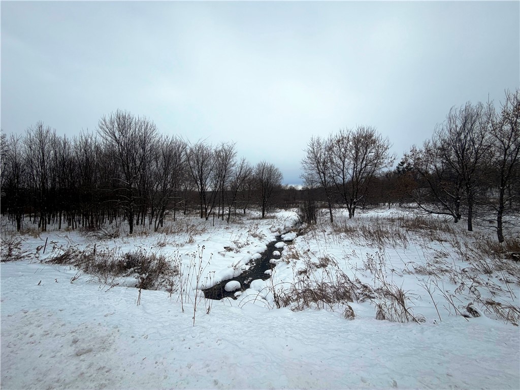 TBD Lands Along 160th Ave & 315th St Glenwood City WI 54013 1597484 image1