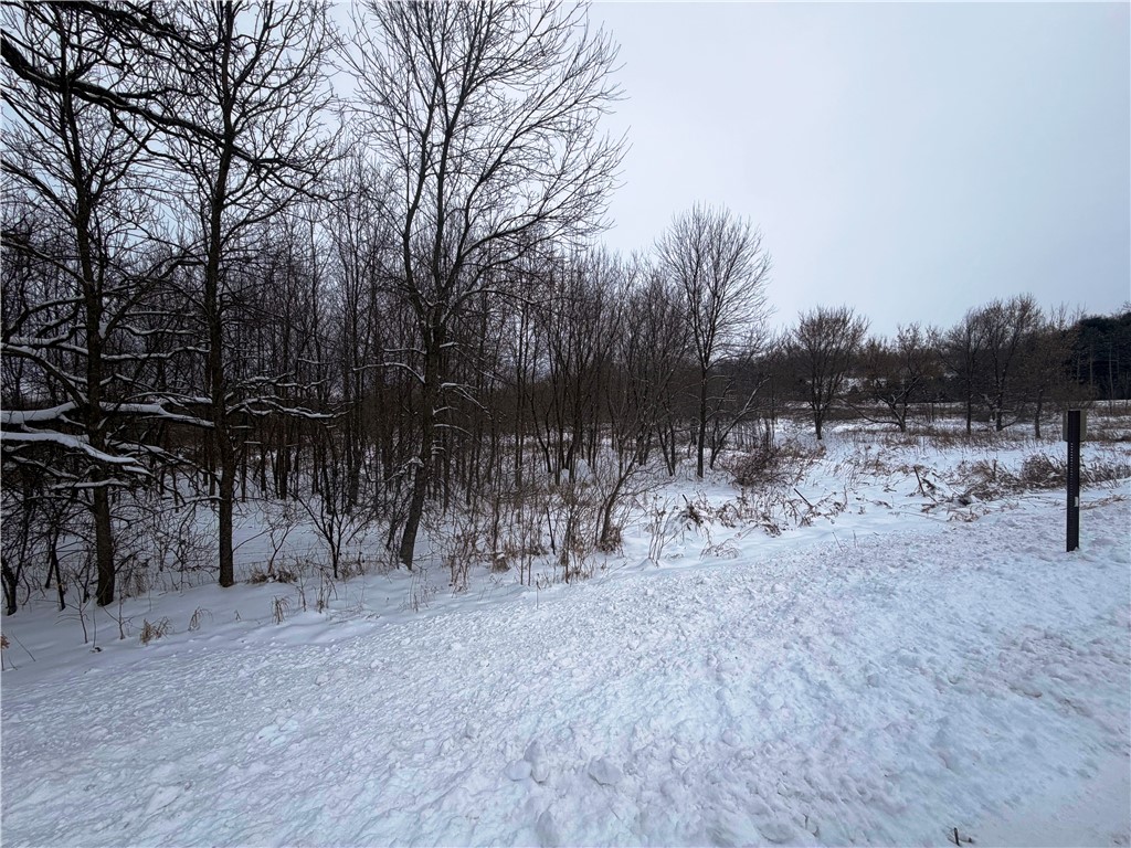 TBD Lands Along 160th Ave & 315th St Glenwood City WI 54013 1597484 image2