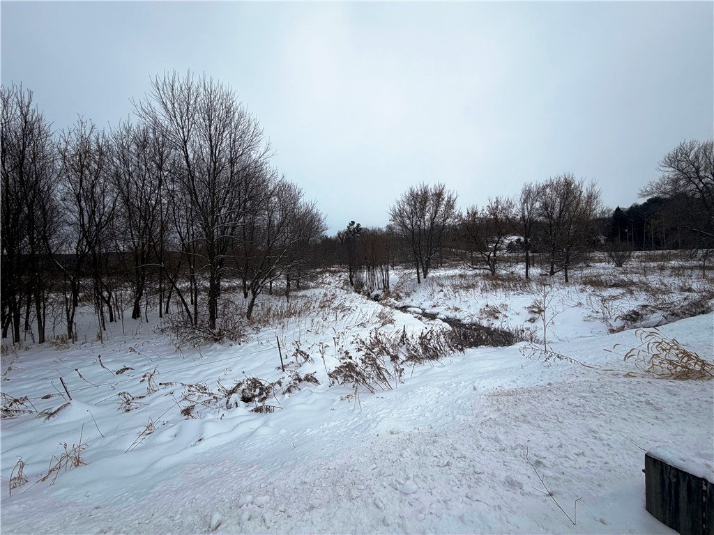 TBD Lands Along 160th Ave & 315th St Glenwood City WI 54013 1597484 image3