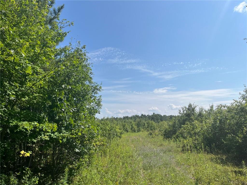 Tax ID 10787 Black Brook Rd Webster WI 54893 1576078 image1