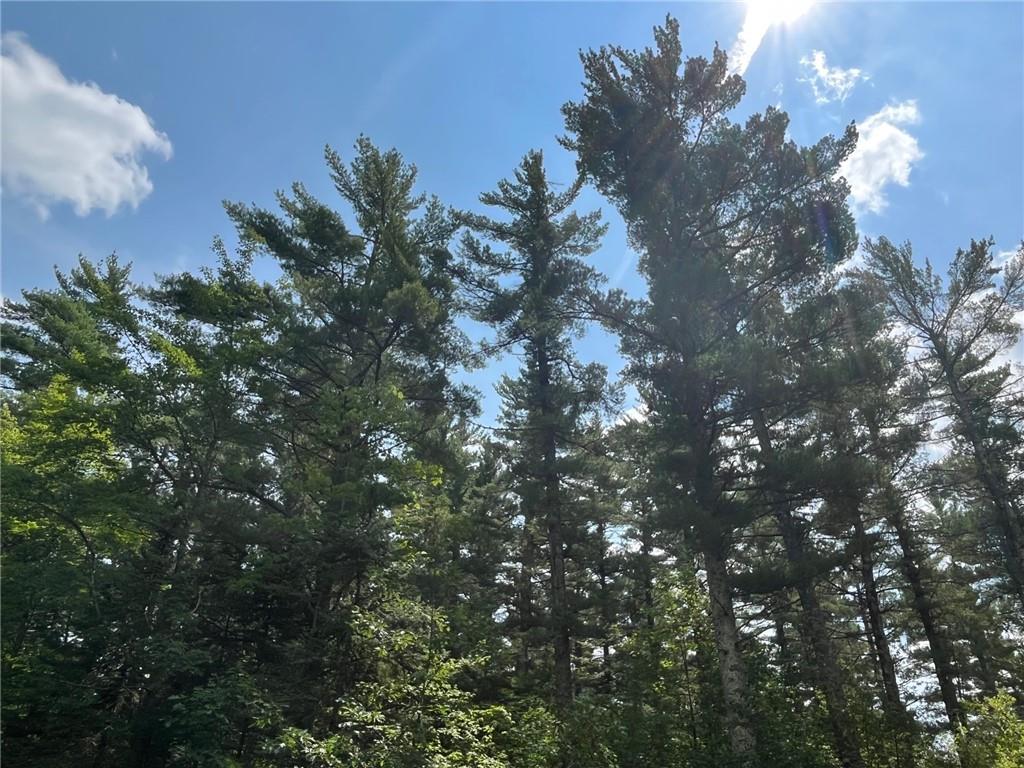 Tax ID 15110 County Trunk Highway A Drummond WI 54832 1576087 image1