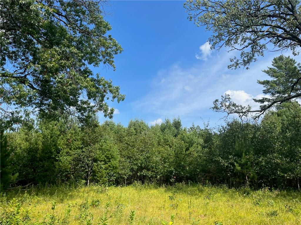 24XXX Polansky Rd Webster WI 54893 1576084 image1