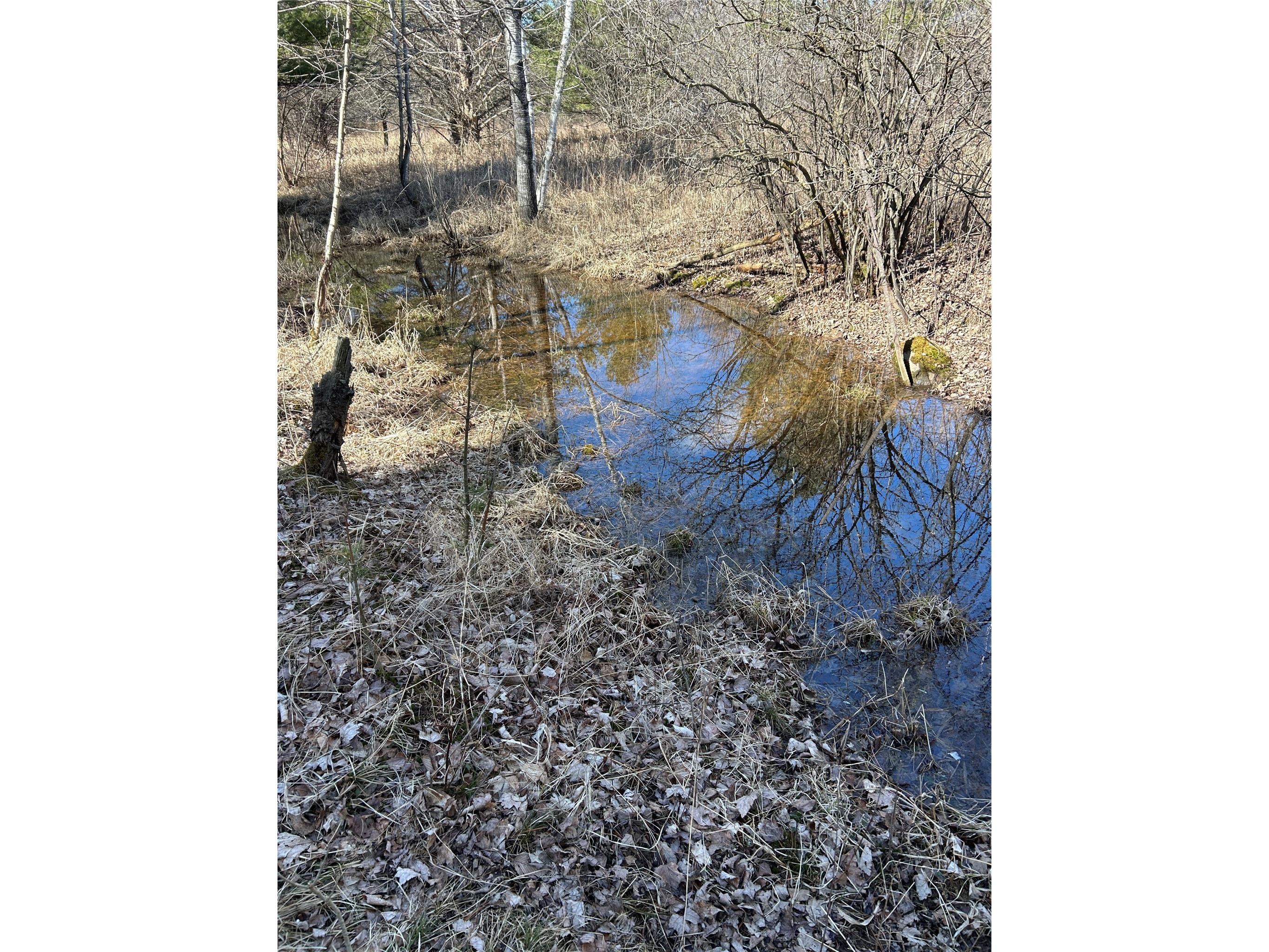 Tax ID 21 Highway 63 Shell Lake WI 54871 1599416 image18
