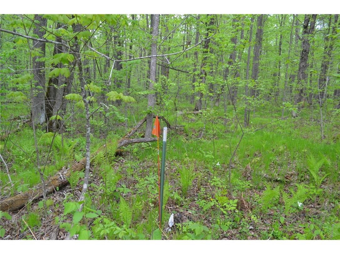 Tax ID #34696 Cornwall Road Winter WI 54896 1591699 image1