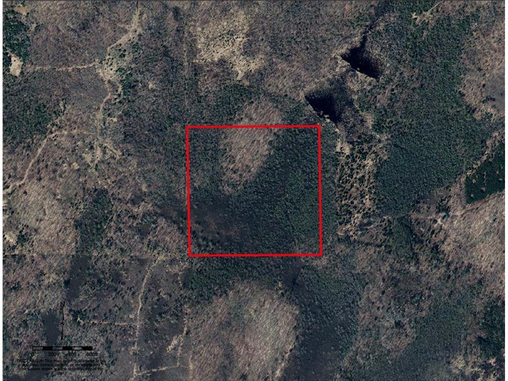 Tax ID: 7043 County Hwy M Draper WI 54896 1578351 image1