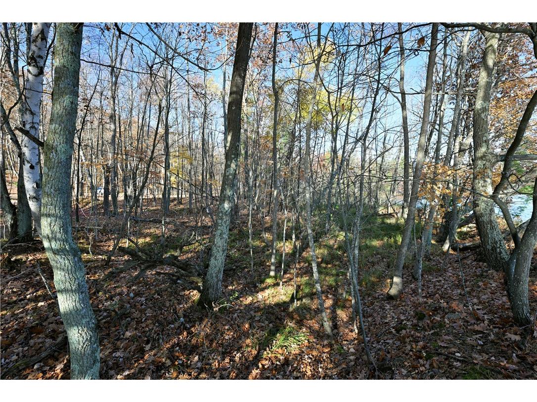 The Point Lot Fishing Club Lane Hayward WI 54843 - Lac Courte Oreilles 1597249 image29