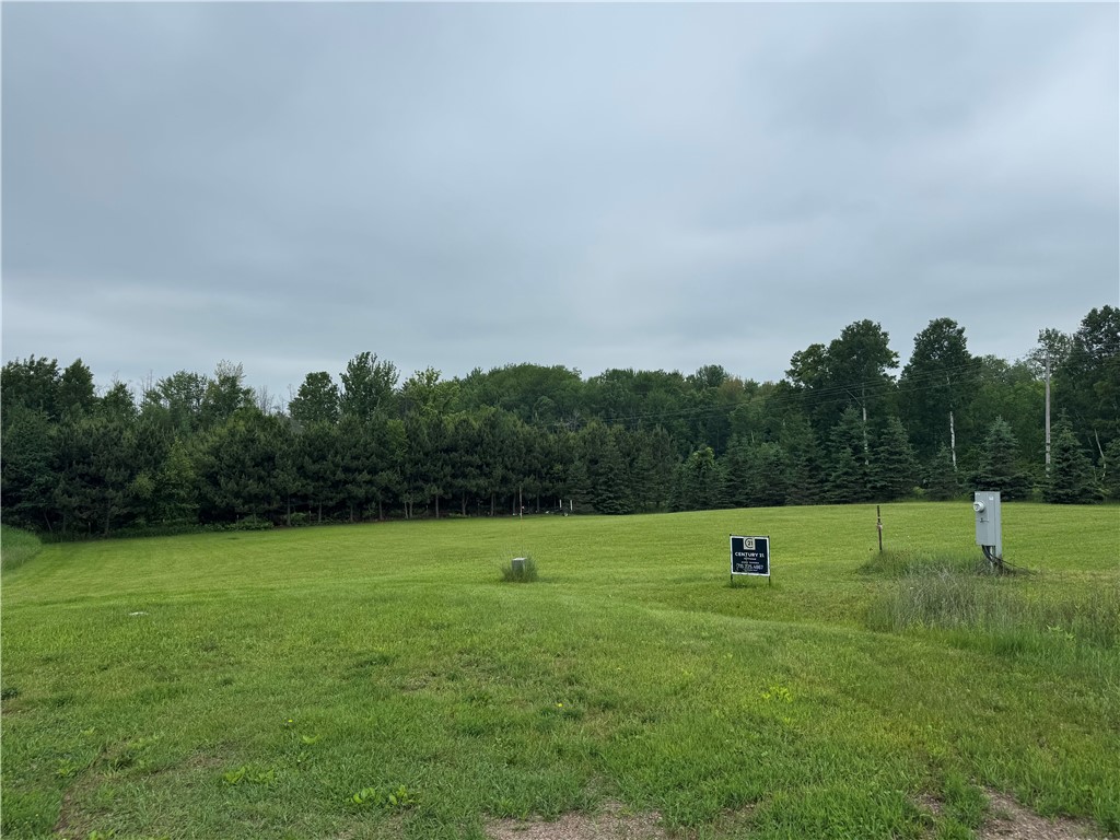 Unit 3 252nd Court Holcombe WI 54745 - Holcombe 1589209 image3