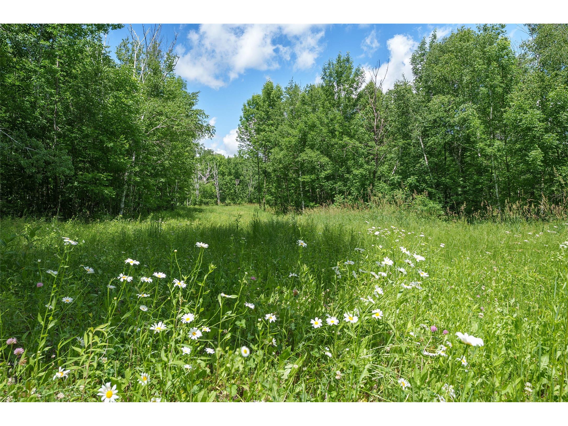 Vacant Lot on Sunset Drive Thorp WI 54771 1602420 image2