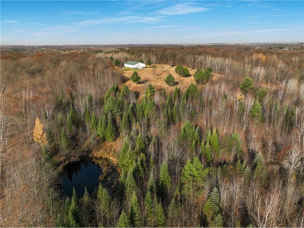 W10001 Cloverdale Road Thorp WI 54771 - POND 1587042 image1