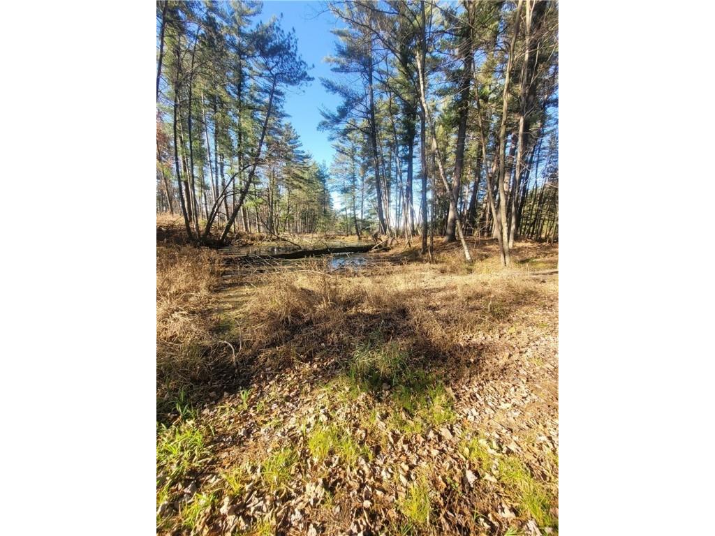 W10362 Lower Lake Drive Merrillan WI 54754 - Lower Lake 1597269 image51