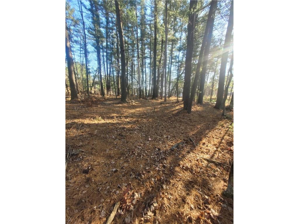 W10362 Lower Lake Drive Merrillan WI 54754 - Lower Lake 1597269 image52