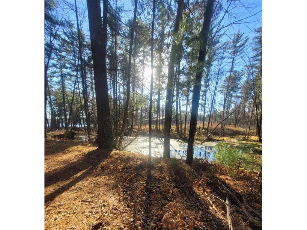 W10362 Lower Lake Drive Merrillan WI 54754 - Lower Lake 1597269 image57