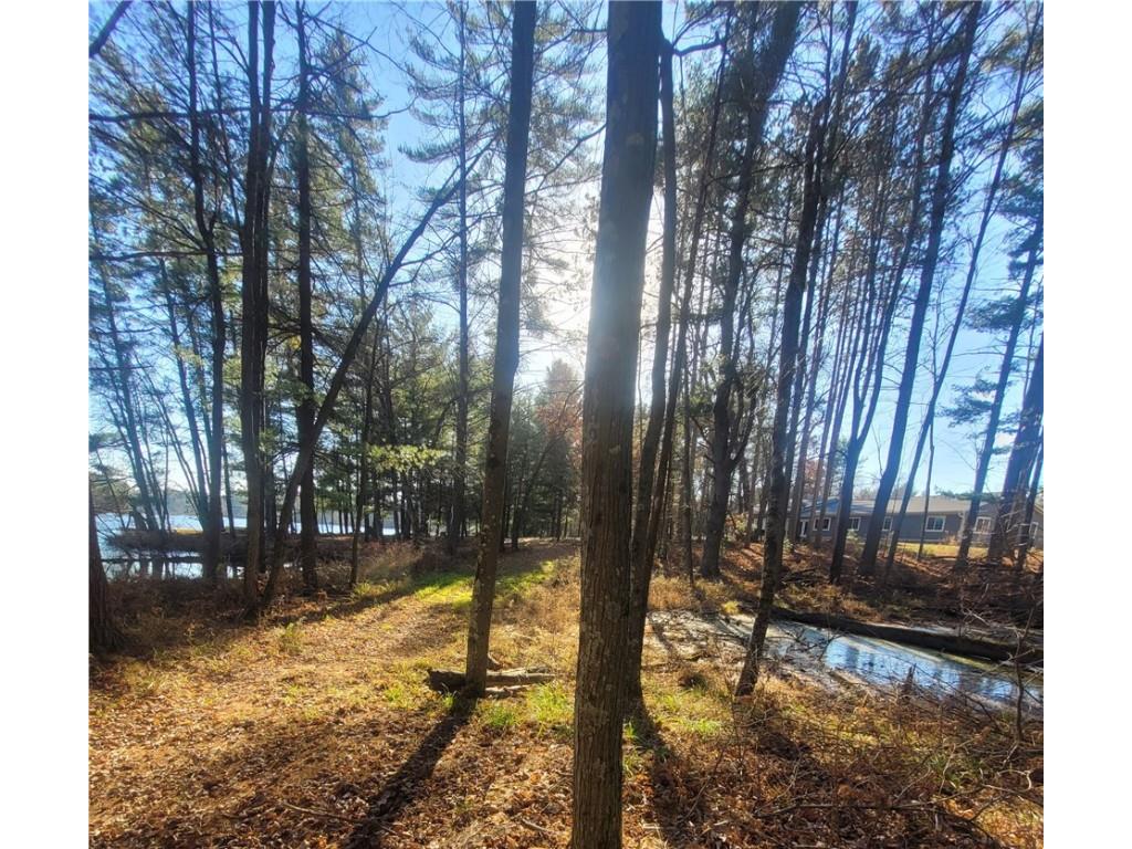 W10362 Lower Lake Drive Merrillan WI 54754 - Lower Lake 1597269 image58