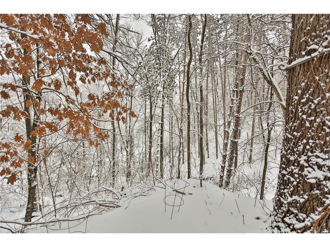 W10439 880th Avenue River Falls WI 54022 1598577 image50