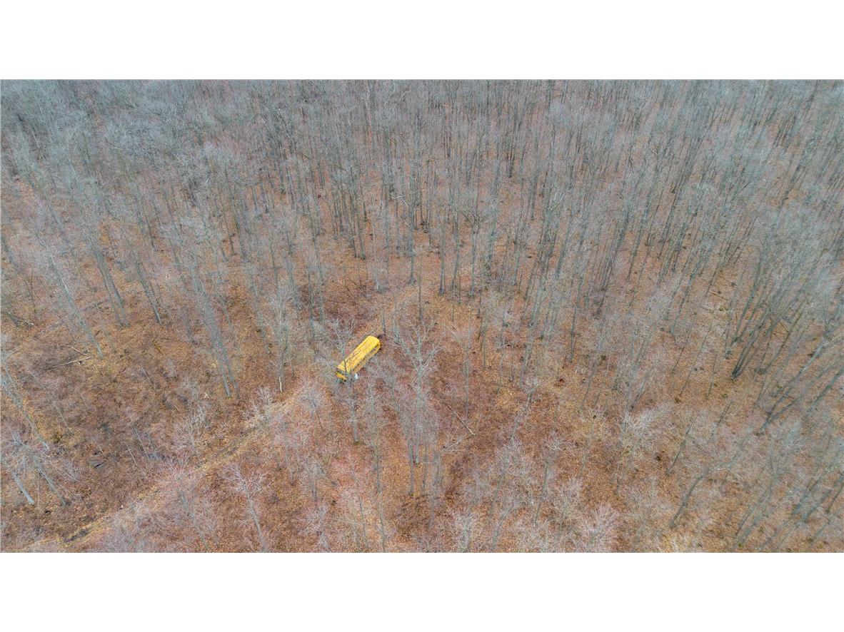 W10646 Capital Road Thorp WI 54771 - Robinson 1590620 image31