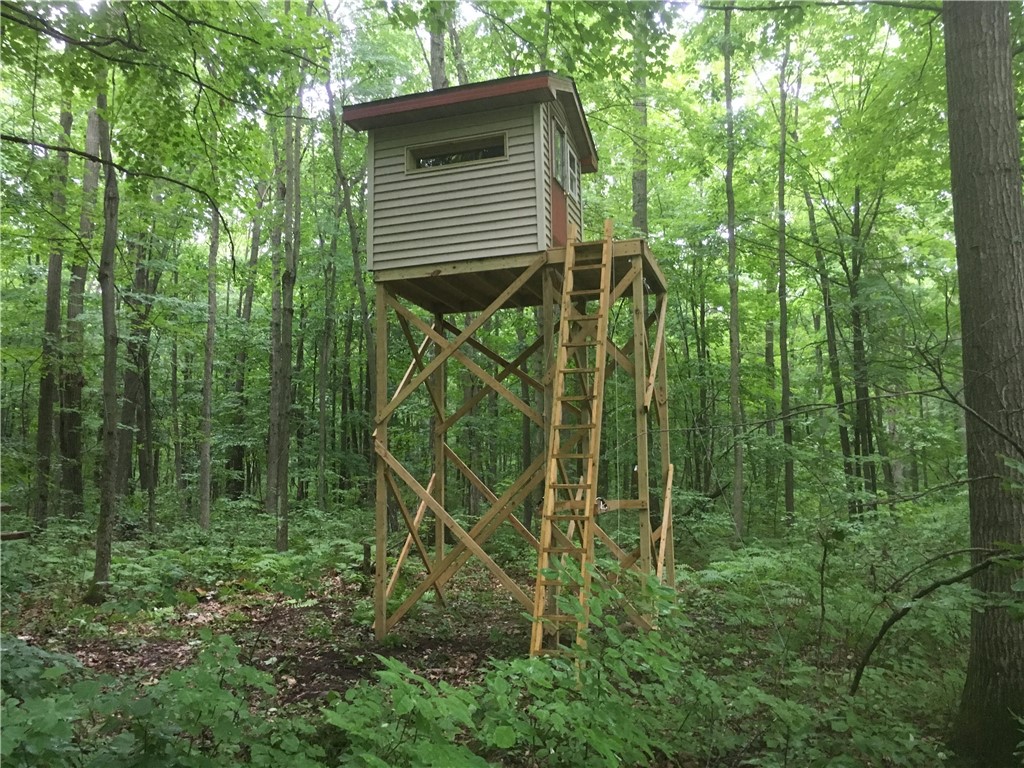 W10646 Capital Road Thorp WI 54771 - Robinson 1590620 image32