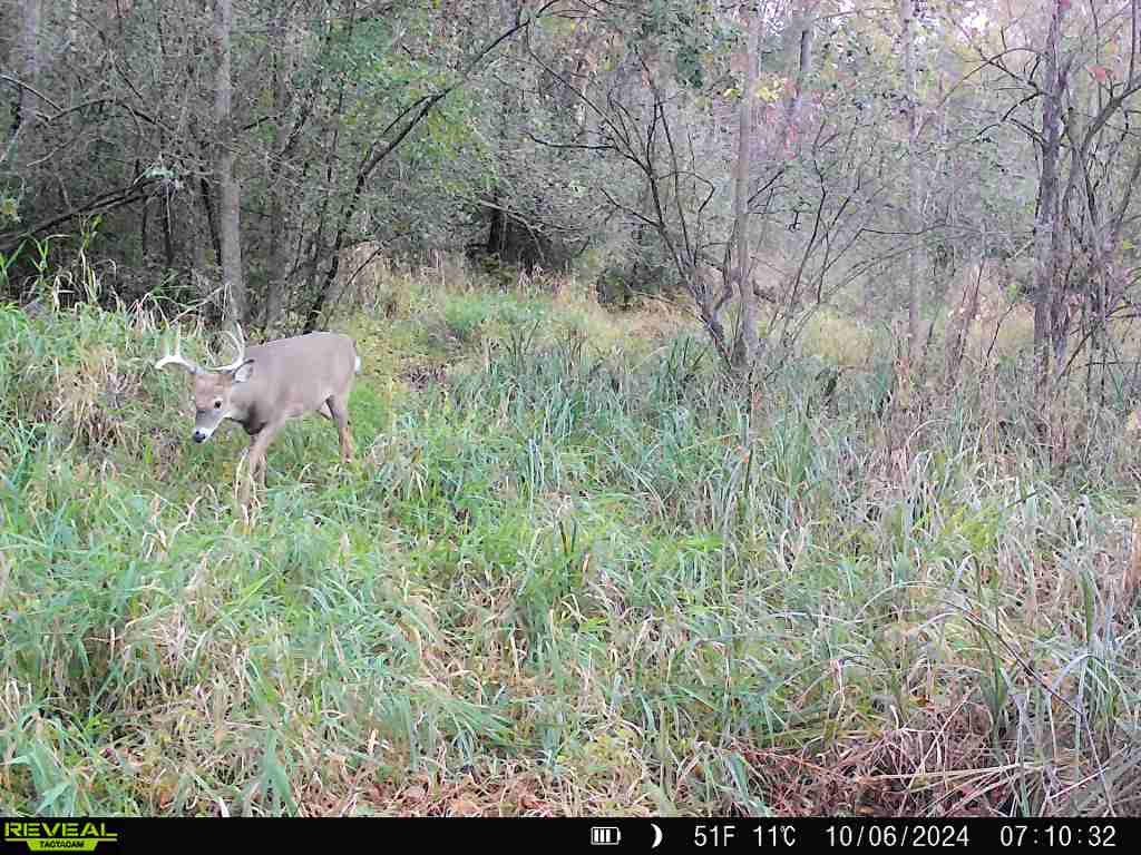 W10646 Capital Road Thorp WI 54771 - Robinson 1590620 image34