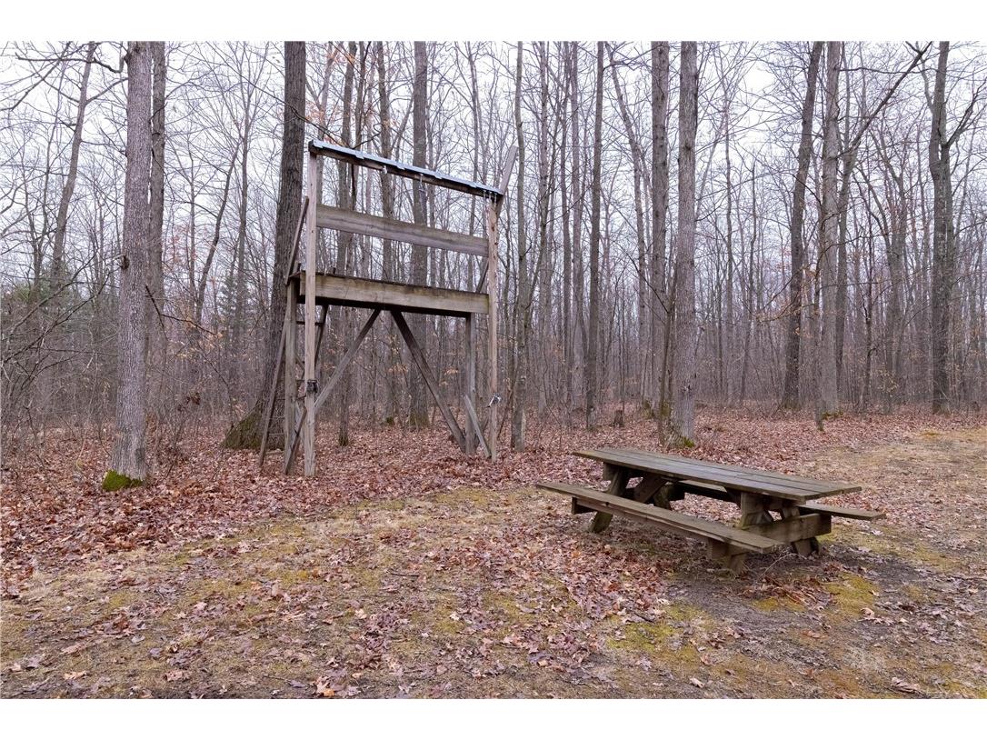 W10646 Capital Road Thorp WI 54771 - Robinson 1590620 image7