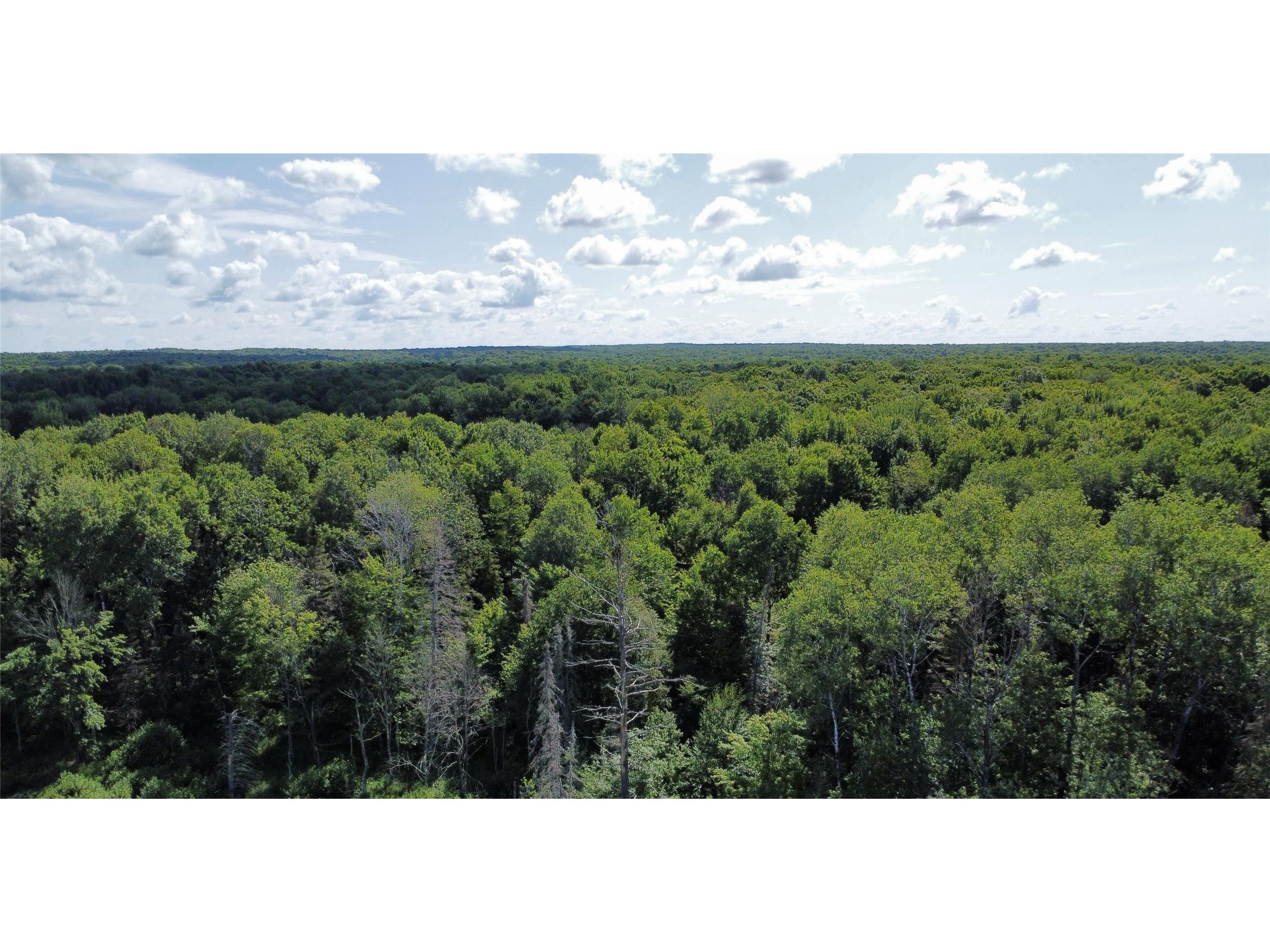 W10816 Bergman Rd. Merrill WI 54452 1603520 image1