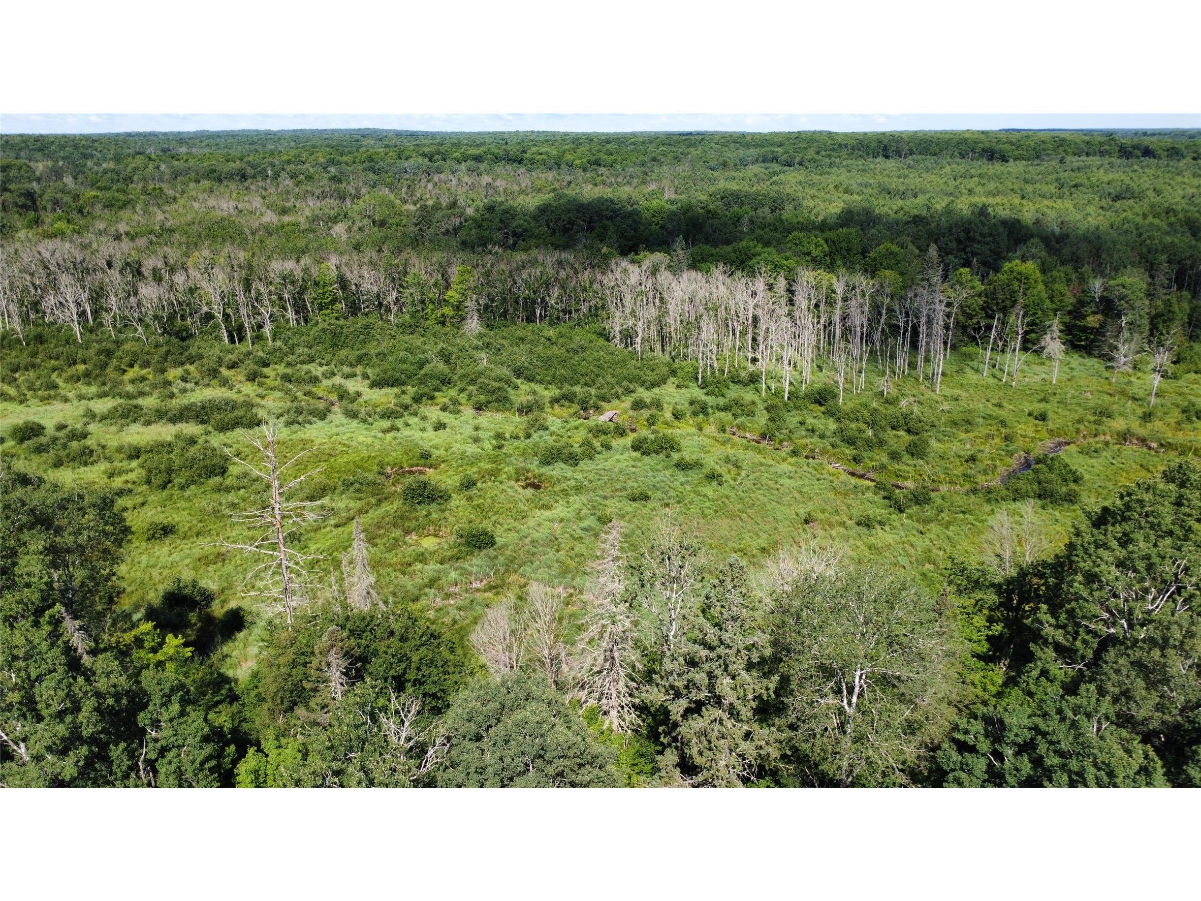 W10816 Bergman Rd. Merrill WI 54452 1603520 image10