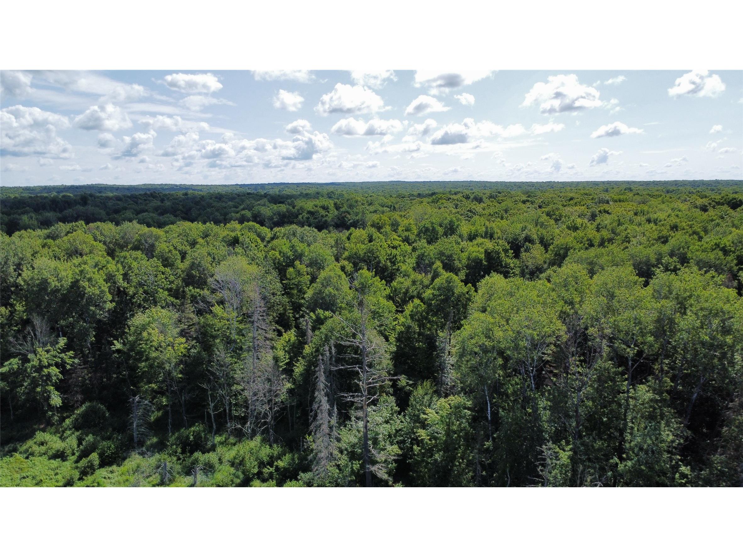 W10816 Bergman Rd. Merrill WI 54452 1603520 image15